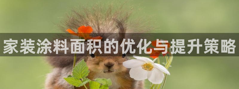 和记官网 公司：家装涂料面积的优化与提升策略