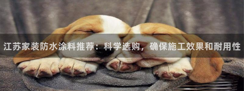 下载和记app：江苏家装防水涂料推荐：科学选购，确保施工效果和耐用性