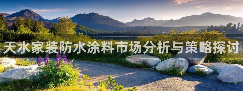 上海和记餐饮有限公司：天水家装防水涂料市场分析与策略探讨