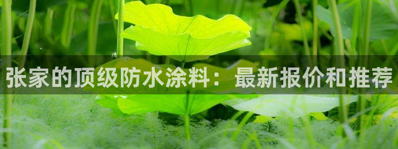 和记国际电讯市值