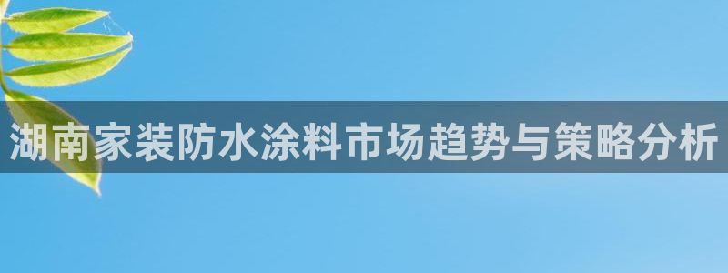 和记平台官网：湖南家装防水涂料市场趋势与策略分析
