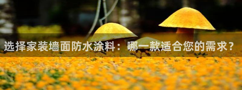 和记国际听：选择家装墙面防水涂料：哪一款适合您的需求？