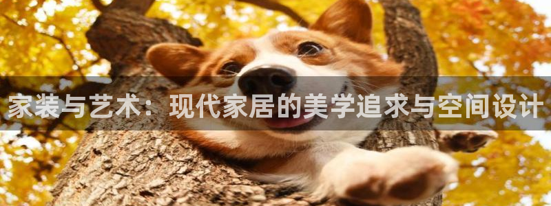 和记国际官网官网：家装与艺术：现代家居的美学追求与空间设计
