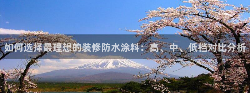 和记国际官网官网：如何选择最理想的装修防水涂料：高、中、低档对比分析