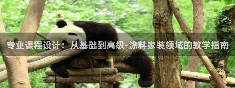 和记港口：专业课程设计：从基础到高级-涂料家装领域的教学指南
