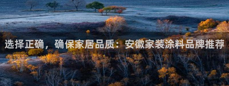 和记 中国官网：选择正确，确保家居品质：安徽家装涂料品牌推荐