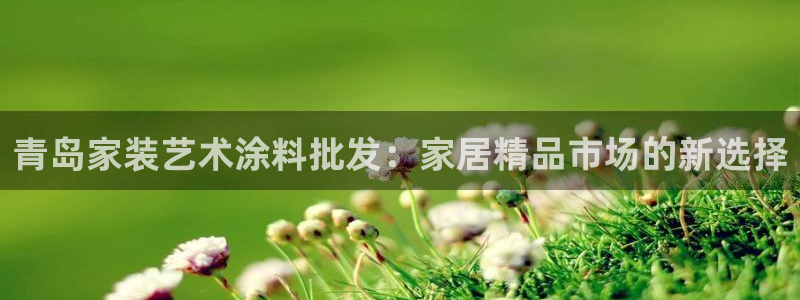和记平台怎么样：青岛家装艺术涂料批发：家居精品市场的新选择