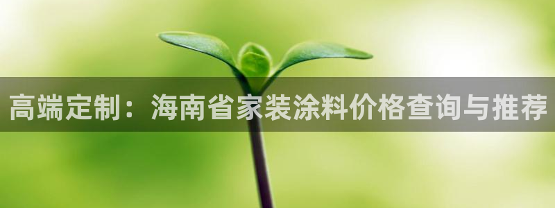 和记H88