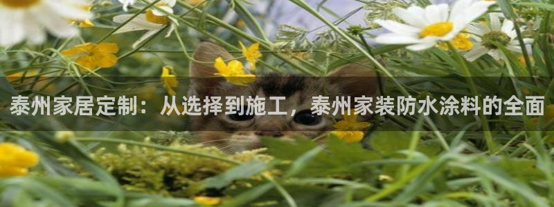和记国际：泰州家居定制：从选择到施工，泰州家装防水涂料的全面