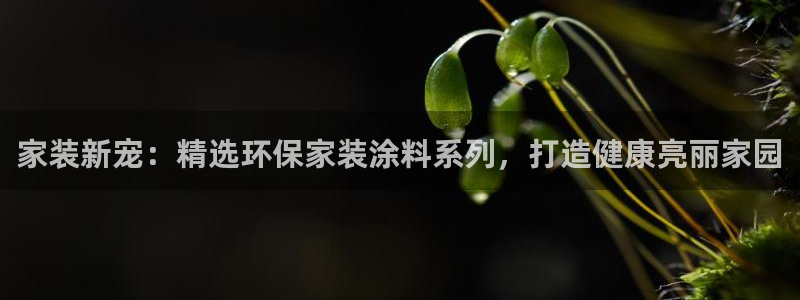 和记h188