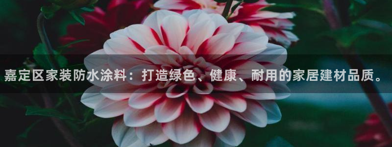 和记最新官方网址：嘉定区家装防水涂料：打造绿色、健康、耐用的家居建材品质。