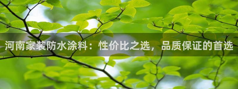 下载和记app：河南家装防水涂料：性价比之选，品质保证的首选