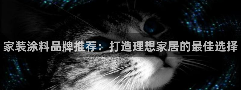 和记ag网址：家装涂料品牌推荐：打造理想家居的最佳选择