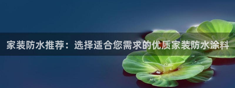 和记官网登陆：家装防水推荐：选择适合您需求的优质家装防水涂料