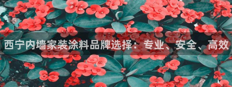 和记平台登录：西宁内墙家装涂料品牌选择：专业、安全、高效