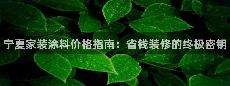 和记hj：宁夏家装涂料价格指南：省钱装修的终极密钥