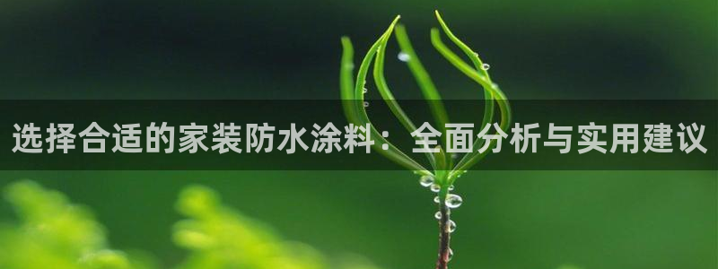 和记ag登录：选择合适的家装防水涂料：全面分析与实用建议