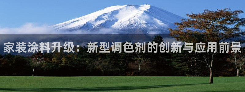 深圳和记科技有限公司：家装涂料升级：新型调色剂的创新与应用前景