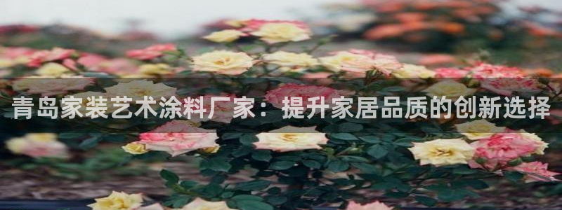 和记官网官方网站：青岛家装艺术涂料厂家：提升家居品质的创新选择