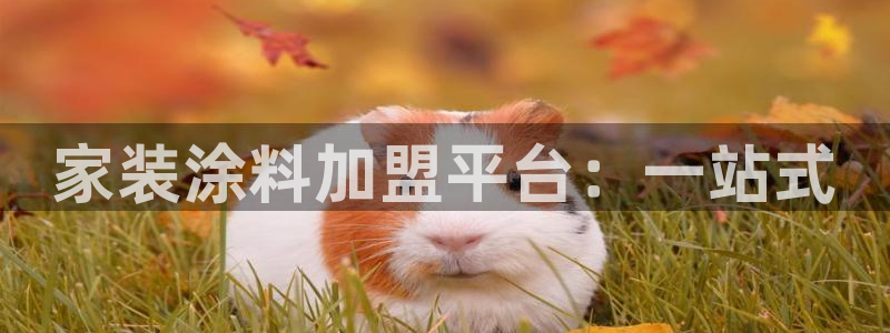 和记官网 公司：家装涂料加盟平台：一站式