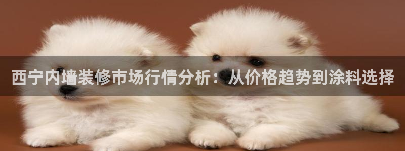 和记(福建)商贸有限公司：西宁内墙装修市场行情分析：从价格趋势到涂料选择