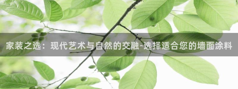 和记ag登录：家装之选：现代艺术与自然的交融-选择适合您的墙面涂料