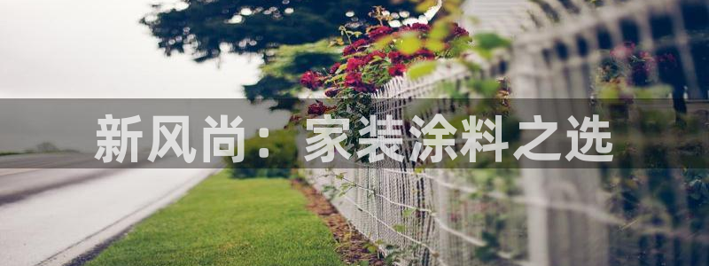 和记5g电讯：新风尚：家装涂料之选