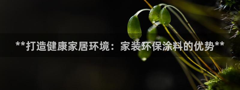 和记ag旗舰厅：**打造健康家居环境：家装环保涂料的优势**