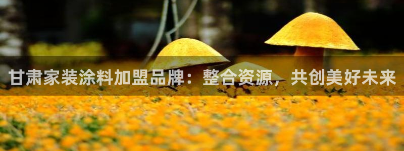 和记Ag：甘肃家装涂料加盟品牌：整合资源，共创美好未来