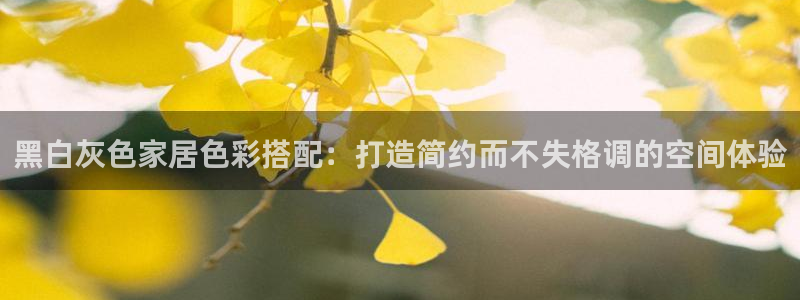 和记平台怎么样：黑白灰色家居色彩搭配：打造简约而不失格调的空间体验