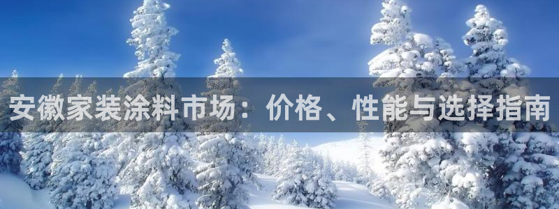 和记国际官网官网：安徽家装涂料市场：价格、性能与选择指南