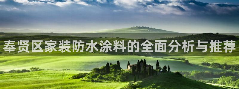 和记港口：奉贤区家装防水涂料的全面分析与推荐