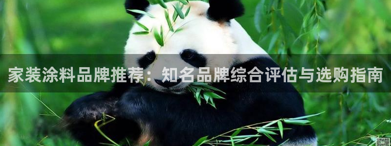 和记官方直营注册：家装涂料品牌推荐：知名品牌综合评估与选购指南
