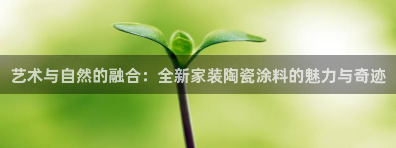 和记官网[中国]官方网站：艺术与自然的融合：全新家装陶瓷涂料的魅力与奇迹