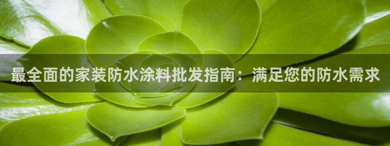 和记ag网址：最全面的家装防水涂料批发指南：满足您的防水需求